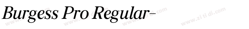 Burgess Pro Regular字体转换 Burgess Pro Regular字体转换